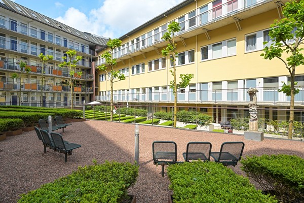 Medium property photo - Torenstraat 23, 2513 BN Den Haag